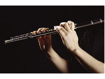 招聘平顶山长笛家教老师