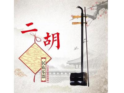 招聘平顶山二胡家教老师